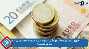 اليورو يشهد ارتفاعاً ملحوظاً في البنوك اليوم الجمعة 8 أغسطس 2025.. كم بلغ السعر؟